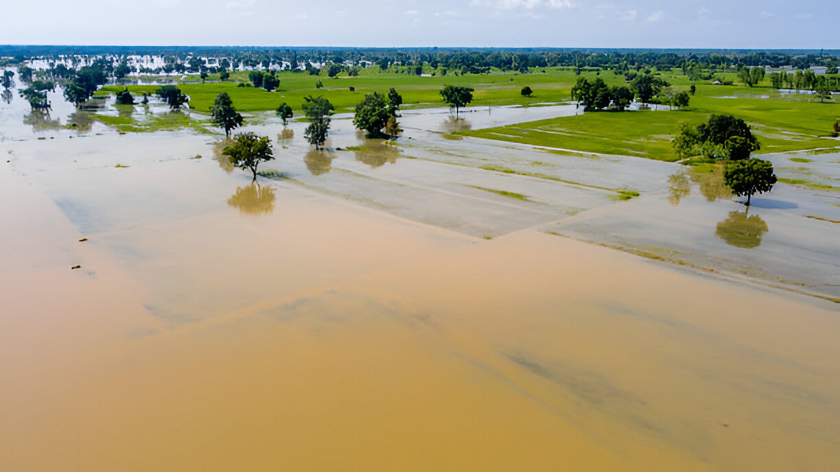 Agricultural Losses in 2025 Floods