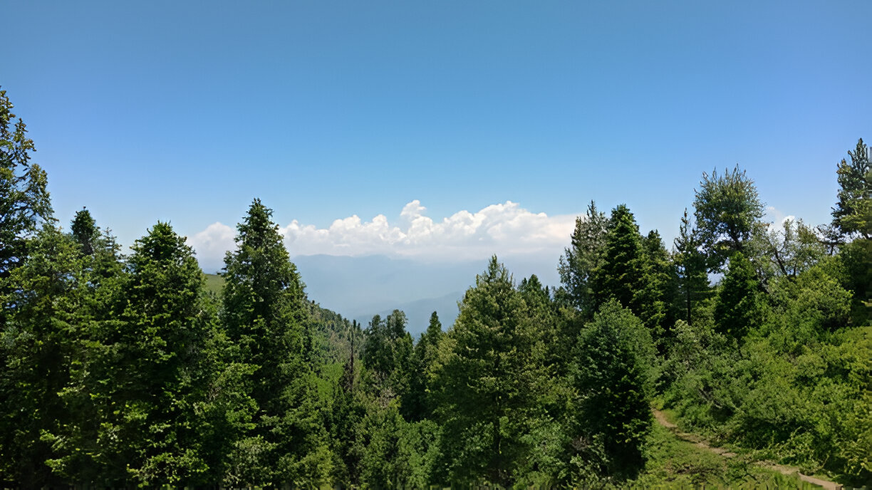 Ayubia National Park