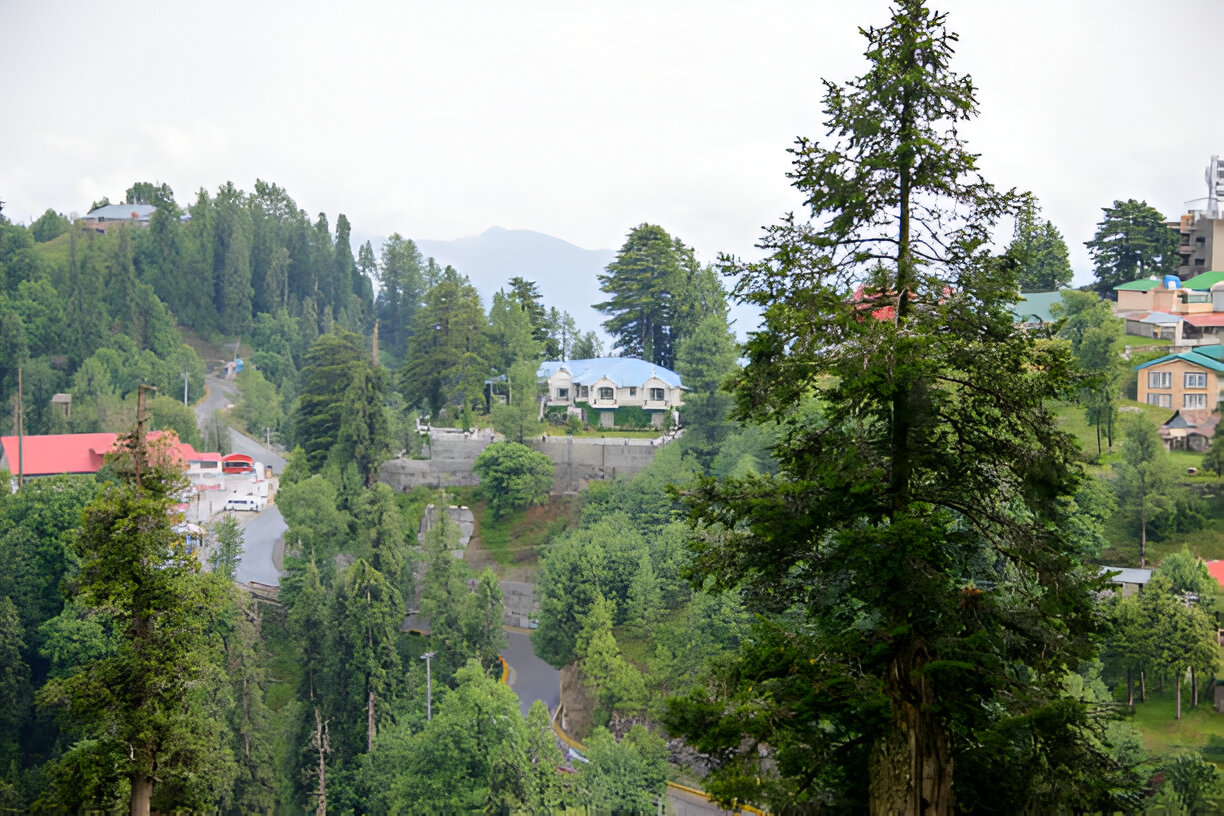 Nathia Gali, Abbottabad