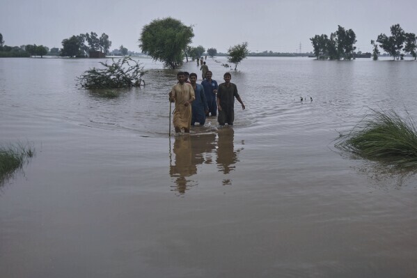 Relief and Rescue Efforts