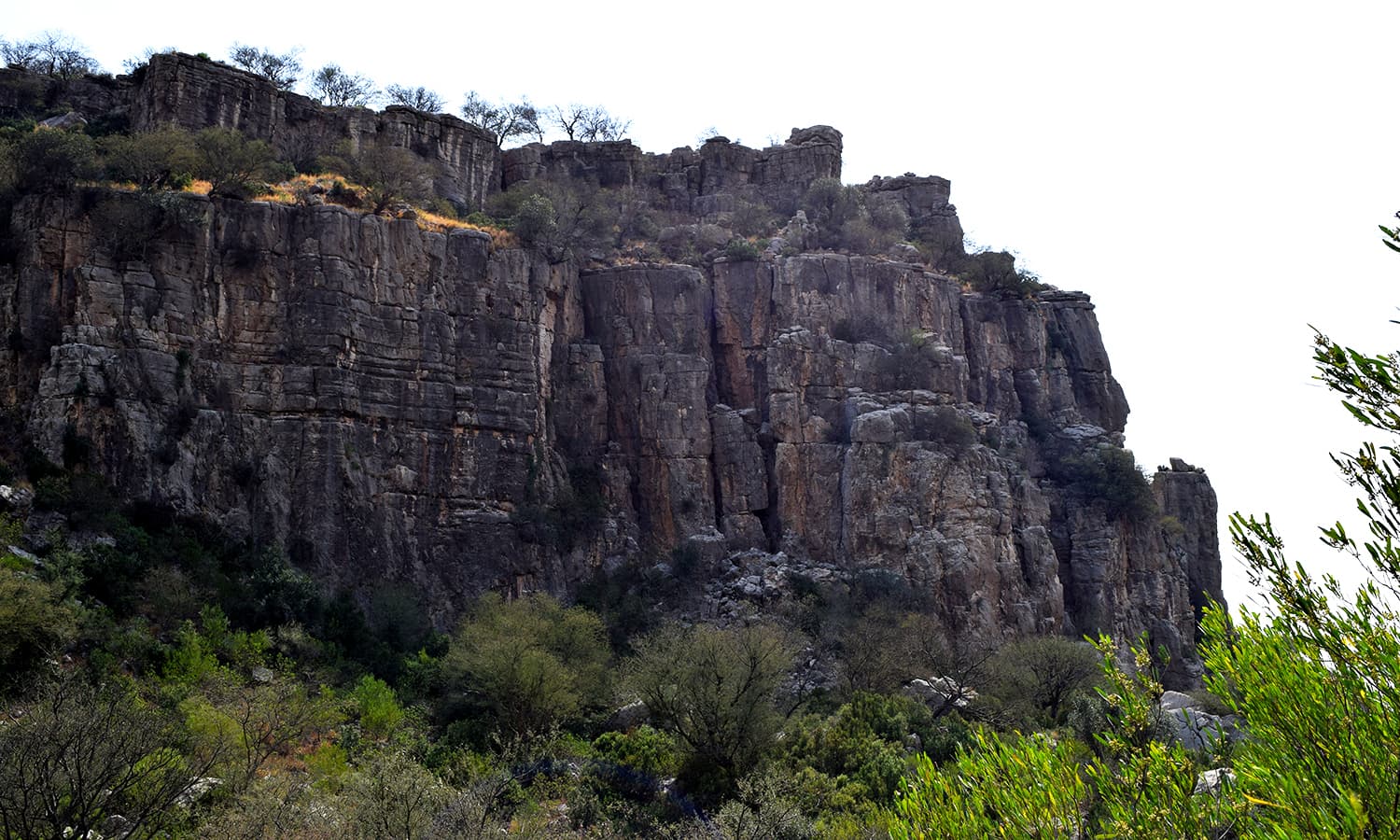 Tulaja Fort