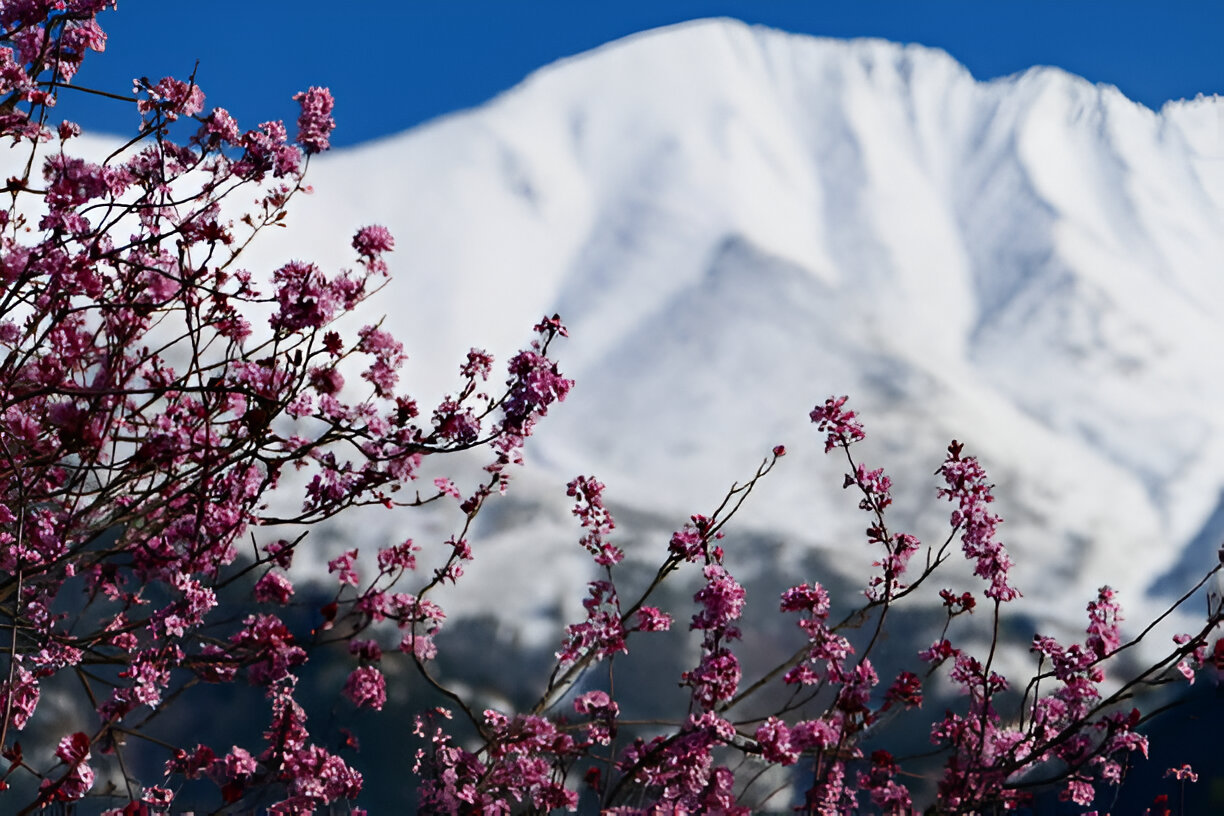 Best Places to Visit in Pakistan in April – Bloom, Culture & Mountain Breezes
