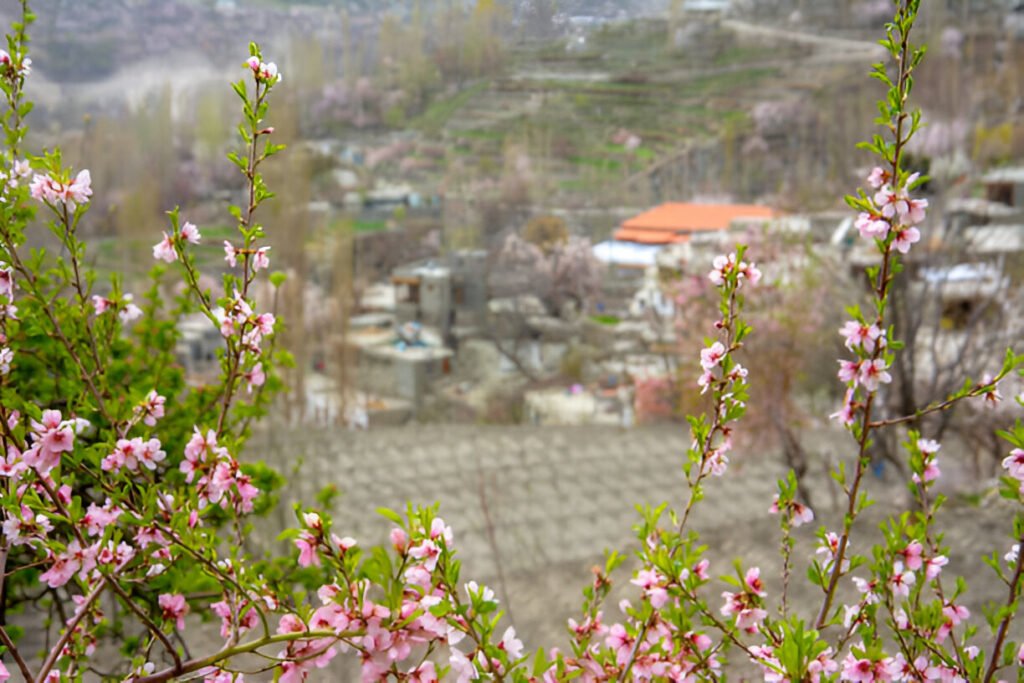 Pakistan Spring Best Places to Visit in Pakistan in March β Spring Blooms & Outdoor ...