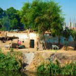 A Glimpse into Pakistani Village Life