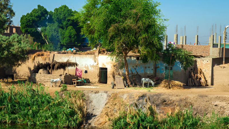 A Glimpse into Pakistani Village Life: Simplicity & Community
