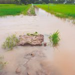 Agricultural Losses from Floods 2025