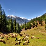 Explore Khyber Pakhtunkhwa Culture