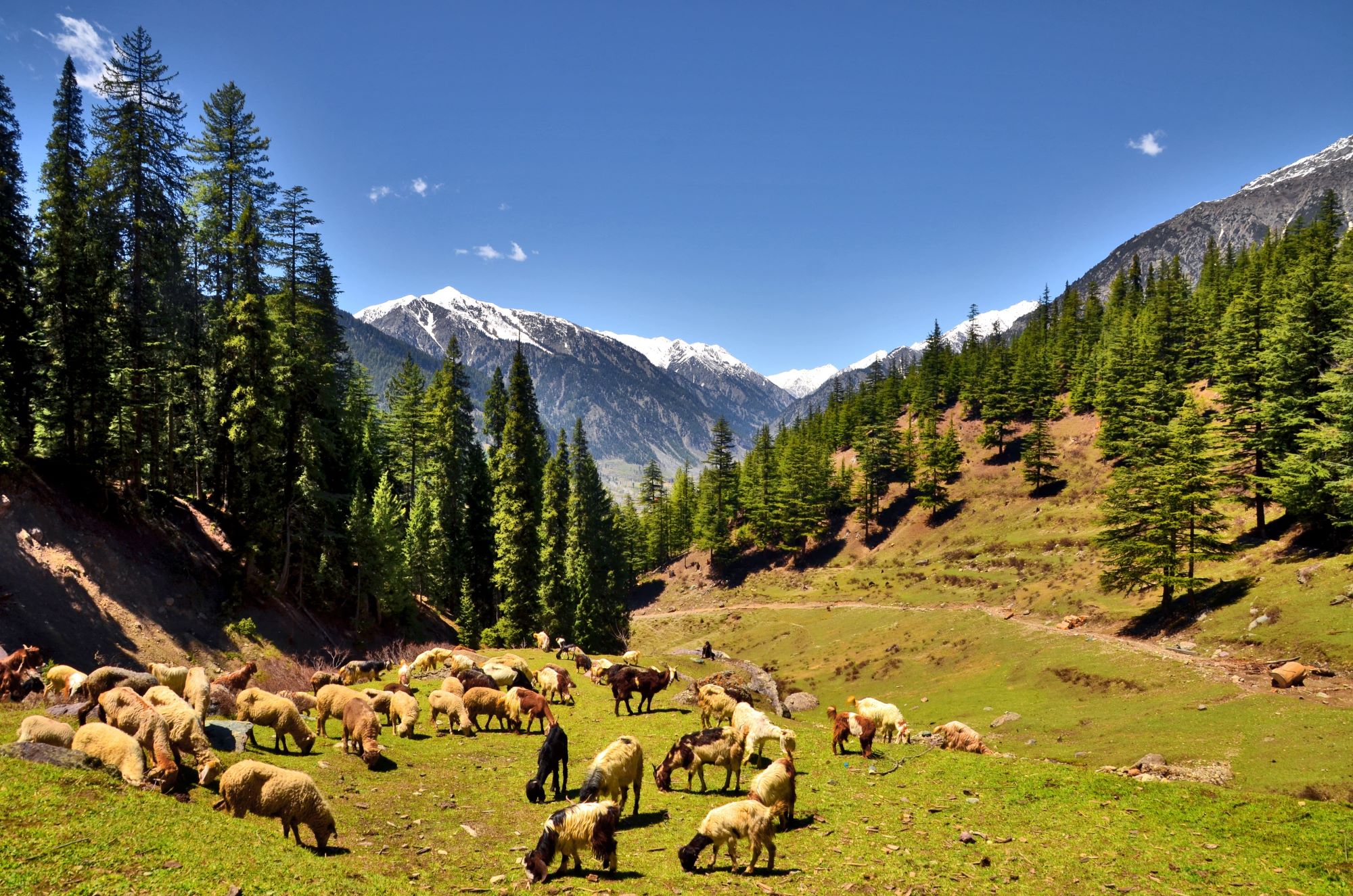 Explore Khyber Pakhtunkhwa Culture: Traditions, Festivals & Heritage