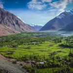 Kalash