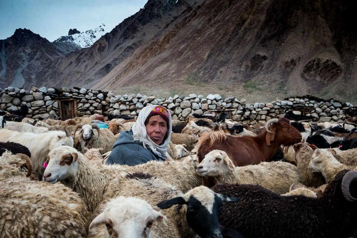 Life of Shepherds in the Northern Mountains of Pakistan
