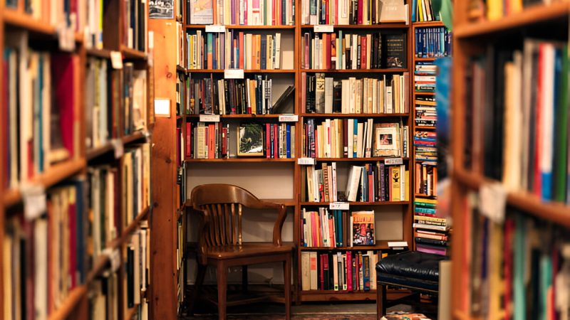 Old Libraries and Bookshops: A Vanishing Treasure